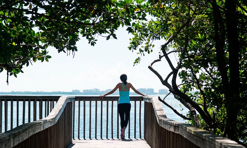 ARBOR COCONUT GROVE