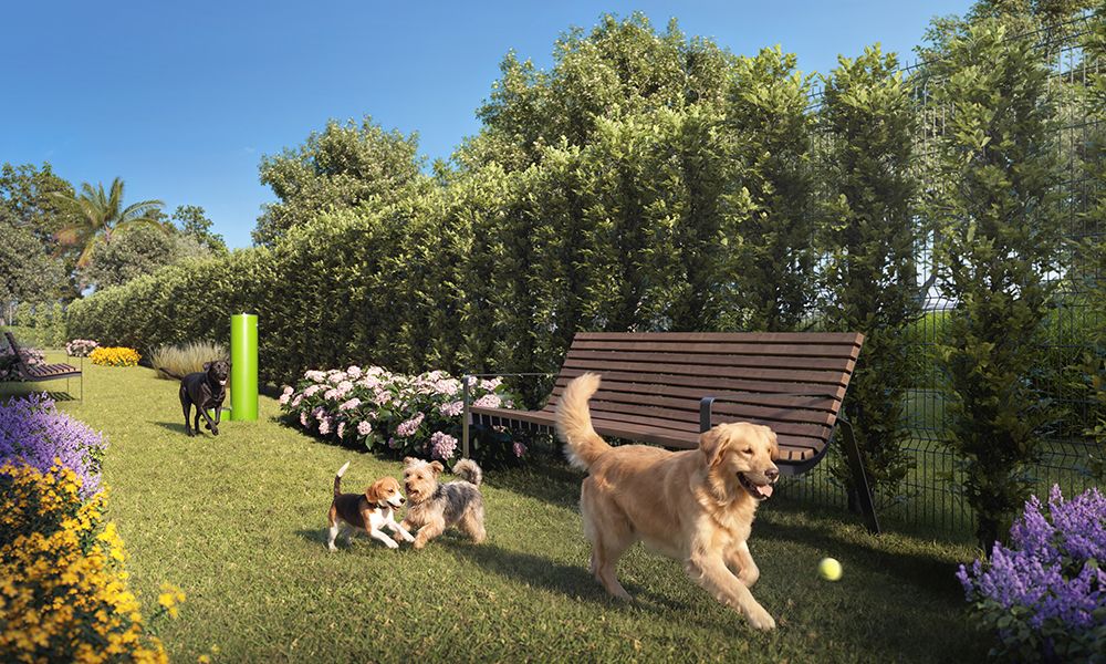 17-Seventeen-Gables-Dog-Park SEVENTEEN GABLES