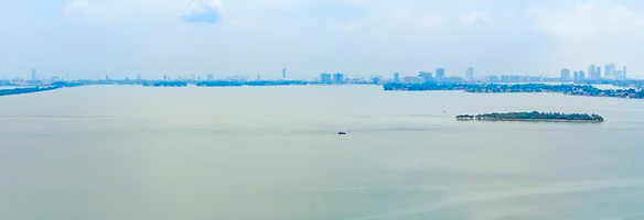 Midtown - Edgewater Condo